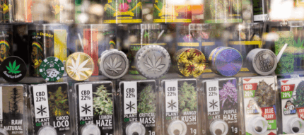 Cannabis Industry Featured Image1